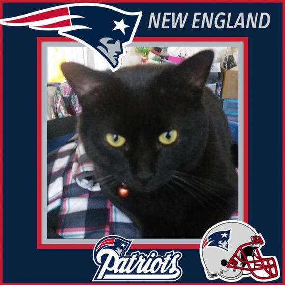 Meet your Posher, Brittanie - Picture 1 of 1